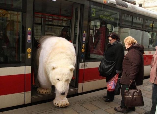 Здогадайтеся, у якій країні таке можна побачити) - фото 149524