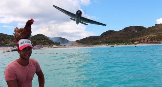 Молодий француз подорожує світом з... куркою - фото 154901