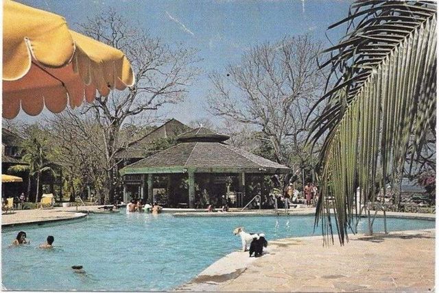 Як виглядає закинутий панамський курорт: вражаючі фото - фото 152608