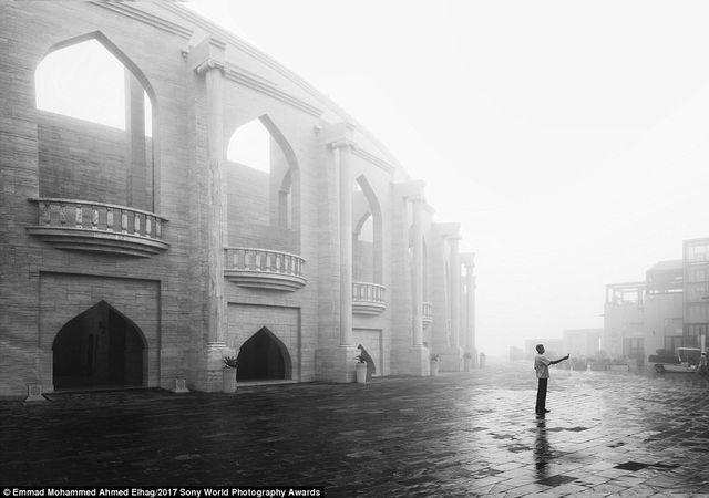 Sony Awards 2017: найкращі фото світу - фото 155082