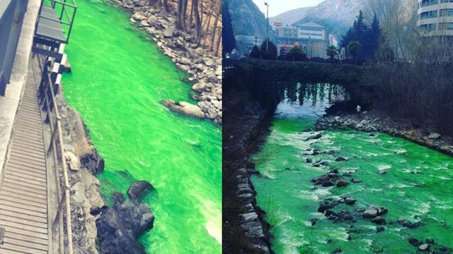 В Іспанії річка набула яскраво салатового кольору: фотофакт - фото 149305