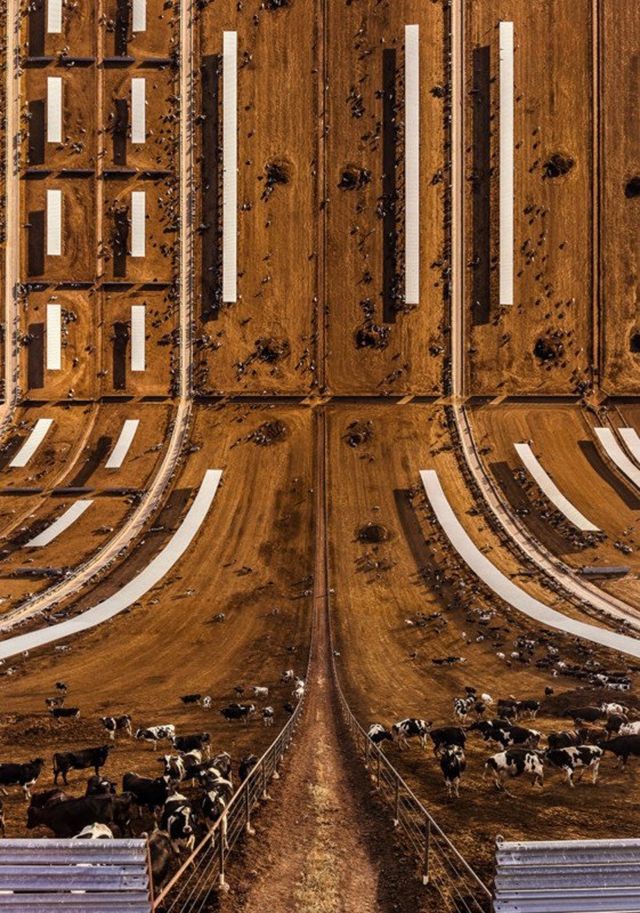 Фотограф стилізує пейзажі в стилі фільму "Початок" - фото 151407