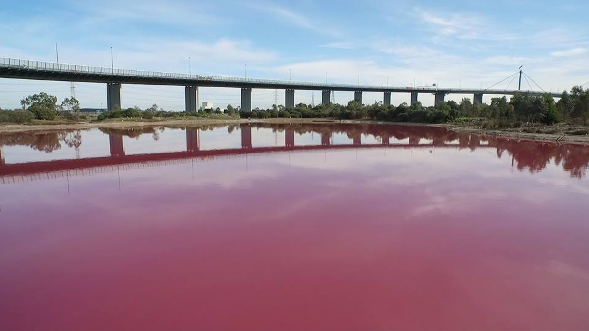 Рожеве озеро - фото 1