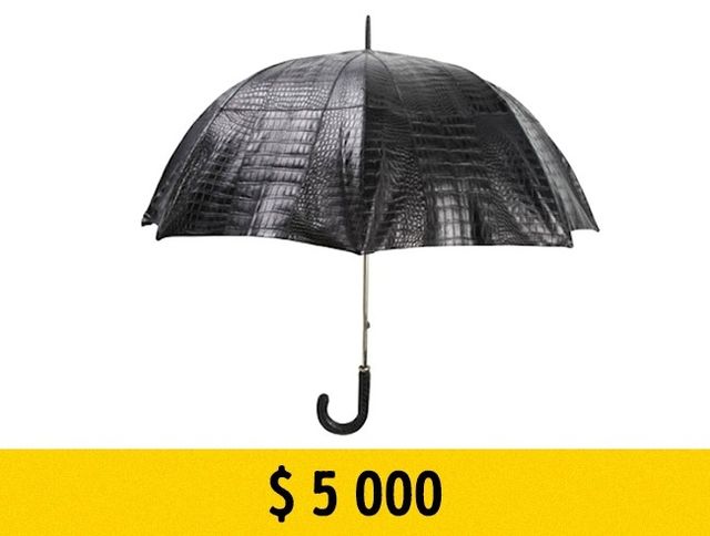 Непристойно дорогі речі, які вас здивують - фото 155973