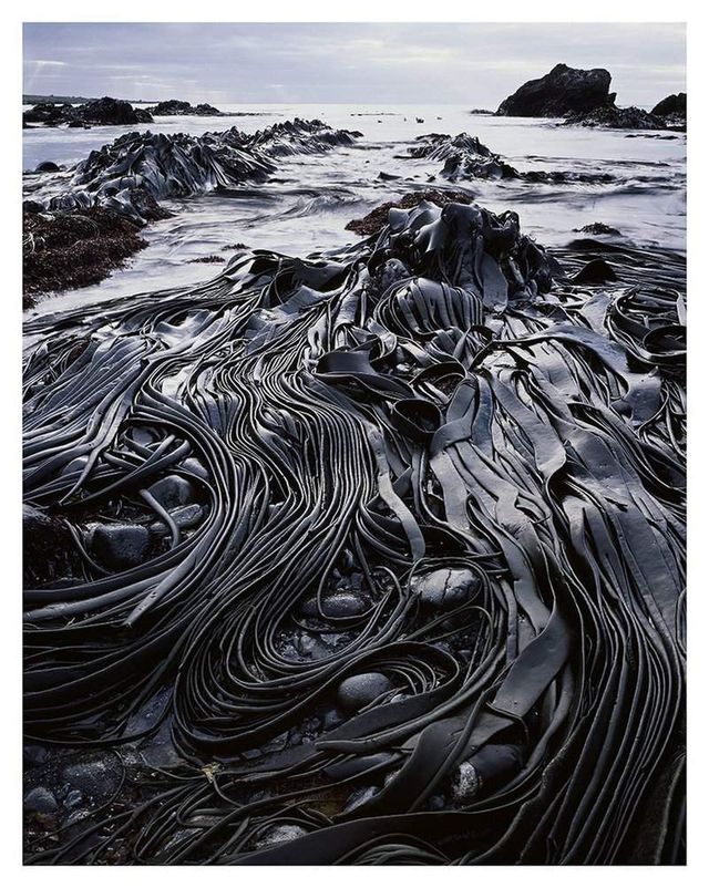 Як виглядає первісна краса Тасманії - фото 150531