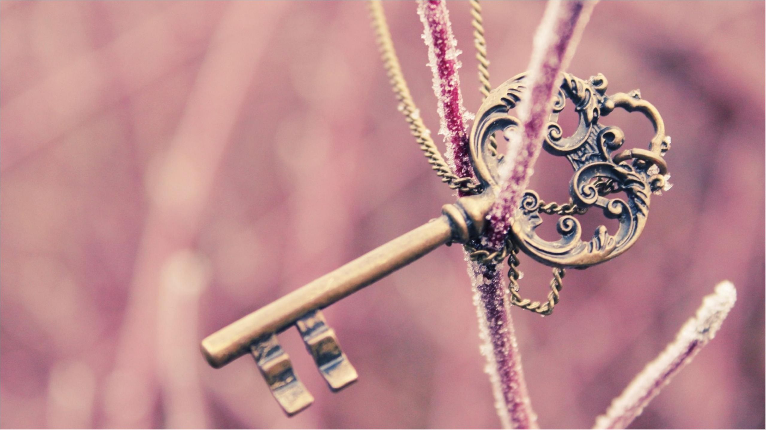 Речі, які категорично не можна піднімати з землі