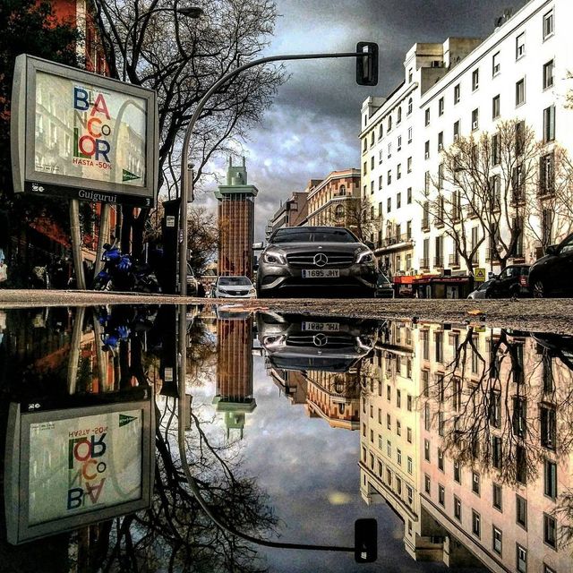 Як виглядає світ у калюжах: неймовірні фото - фото 151215