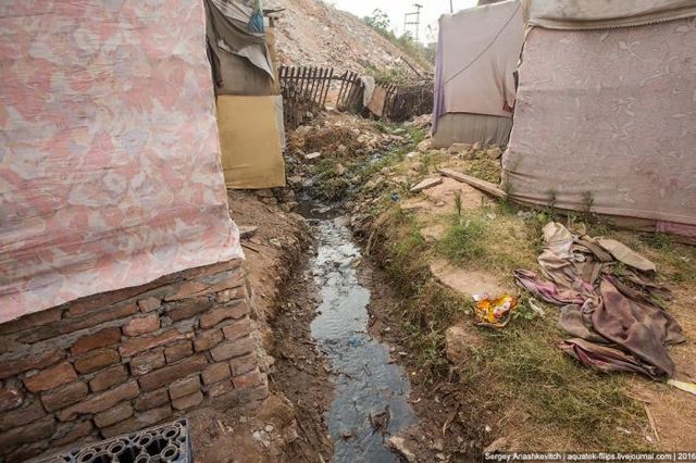 Як виглядають звичайні будні мешканців Пакистану: вражаючі фото - фото 149183