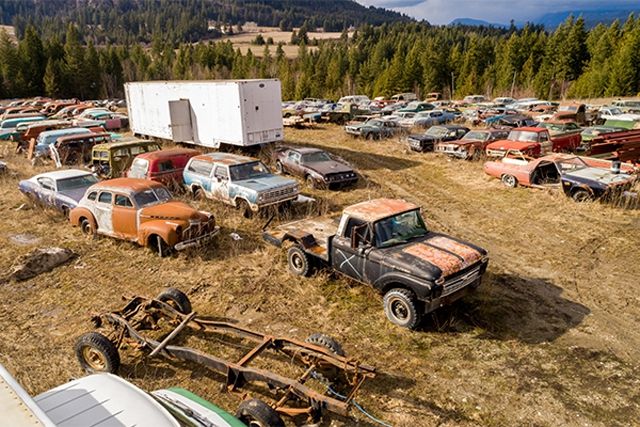 У Канаді продають два гектари старих автомобілів - фото 155964