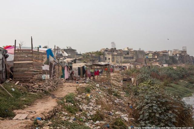 Як виглядають звичайні будні мешканців Пакистану: вражаючі фото - фото 149181