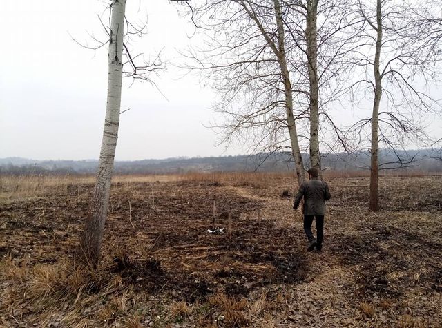 Пожежа спопелила Долину нарцисів на Закарпатті: опубліковані фото - фото 152294