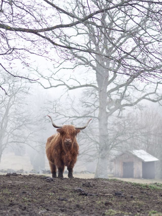 Сувора краса невідомої Швеції: вражаючі фото - фото 155012