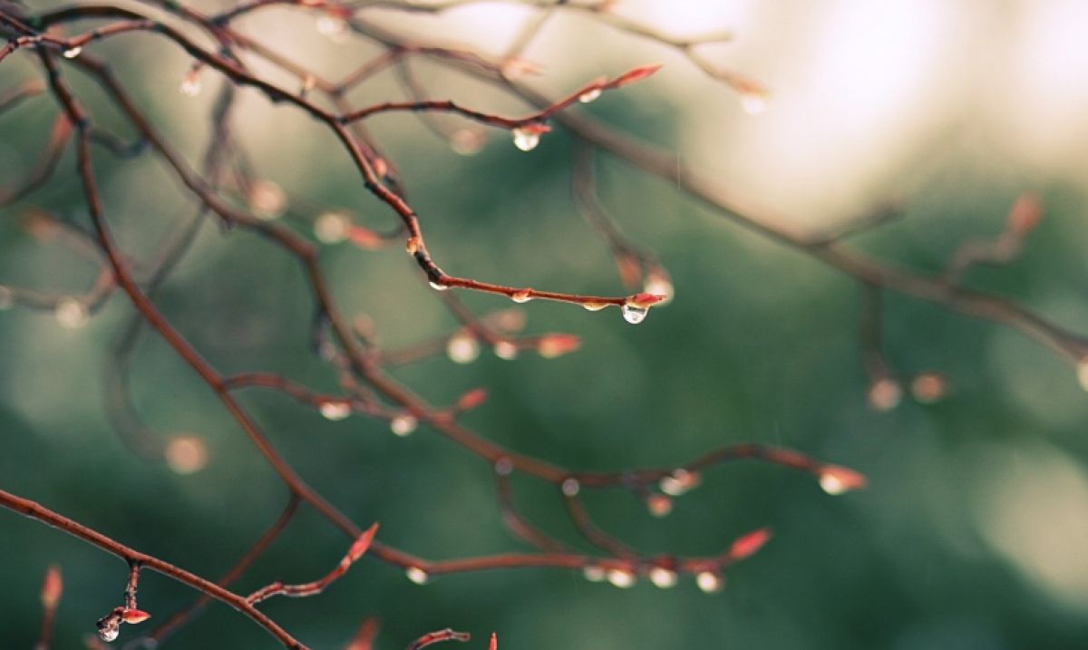 В Україні  зафіксували рекордно теплу ніч