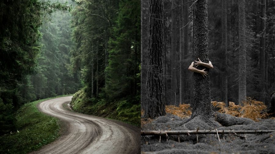 Сувора краса невідомої Швеції: вражаючі фото