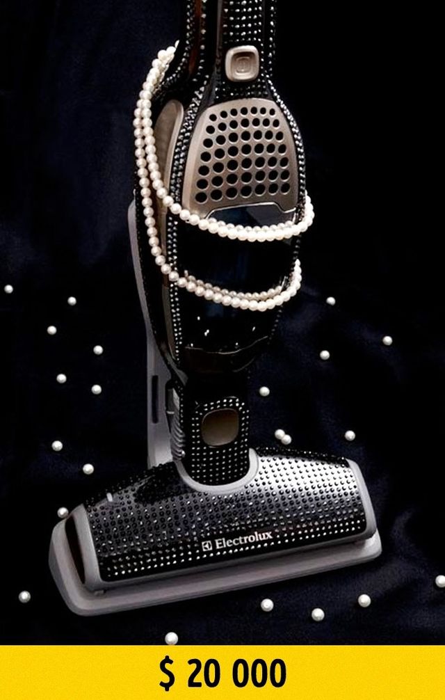 Непристойно дорогі речі, які вас здивують - фото 155975