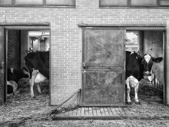 Фотографія як мистецтво: роботи фіналістів Smithsonian Photo Contest 2016 - фото 148060