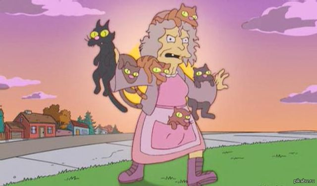 Найбезглуздіші закони про котів, які доведуть вас до сліз - фото 152376