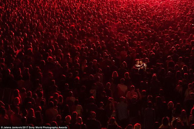 Sony Awards 2017: найкращі фото світу - фото 155081