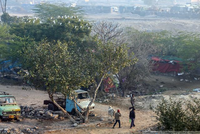 Індія з вікон автобусів: незвичайні фото - фото 155789