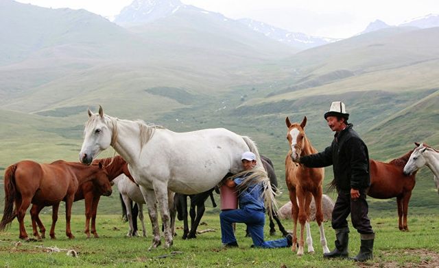 Які країни можна відвідати без віз і проблем у 2017 році - фото 148402