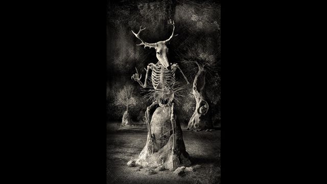 Наука як мистецтво: найкращі наукові ілюстрації року - фото 153075