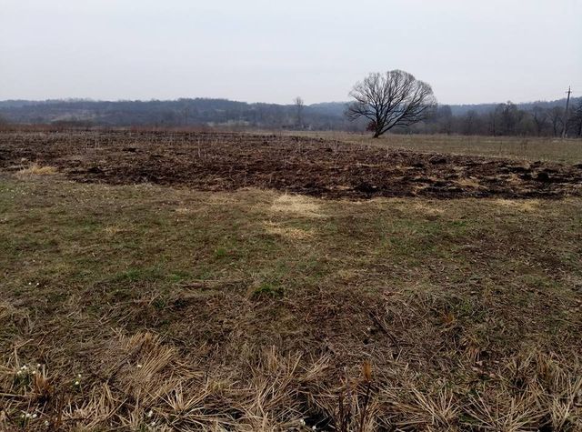 Пожежа спопелила Долину нарцисів на Закарпатті: опубліковані фото - фото 152291