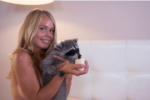 У Росії єнота зняли у еротичній рекламі. Правозахисники подали до суду - фото 152329