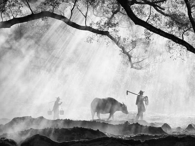 На межі вимирання: фотограф показав зникаючі культури світу - фото 151520