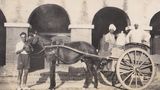 Як виглядало життя в Індії у 1930-х роках: вражаючі фото