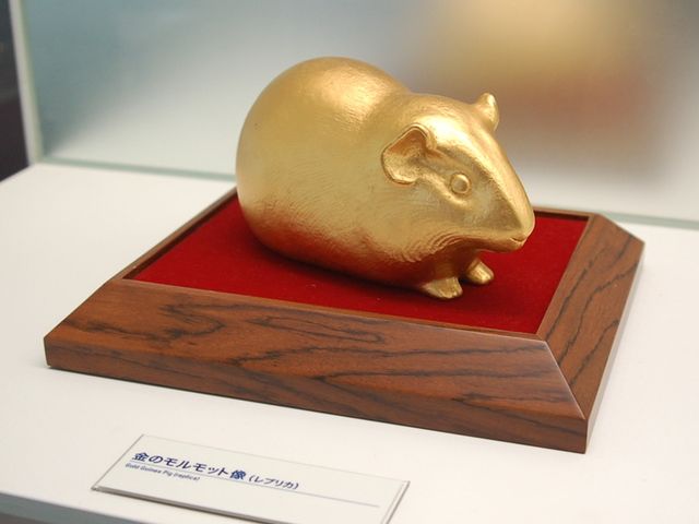 5 фактів про Sony, які ви точно не знали - фото 152167