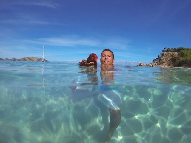 Молодий француз подорожує світом з... куркою - фото 154897