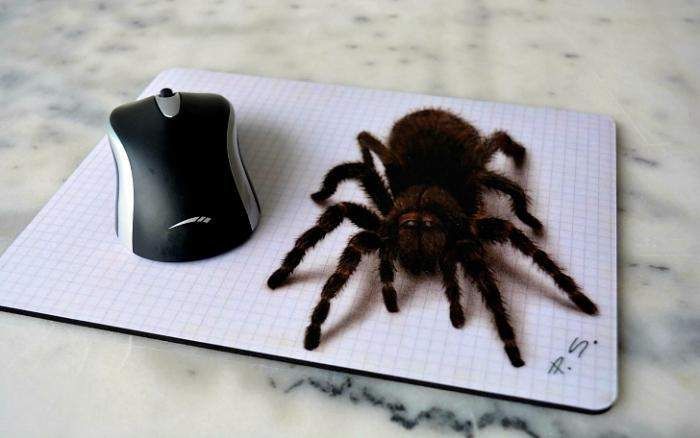 Неймовірно реалістичні 3D-малюнки, які обманюють зір