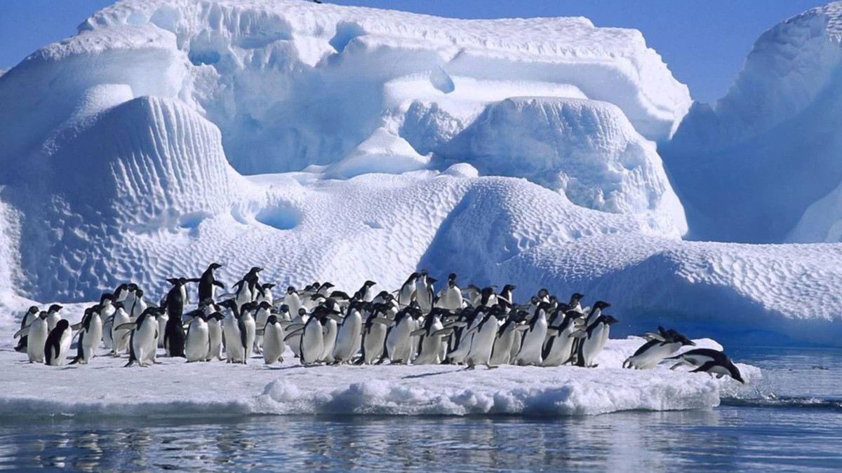Антарктида - фото 1