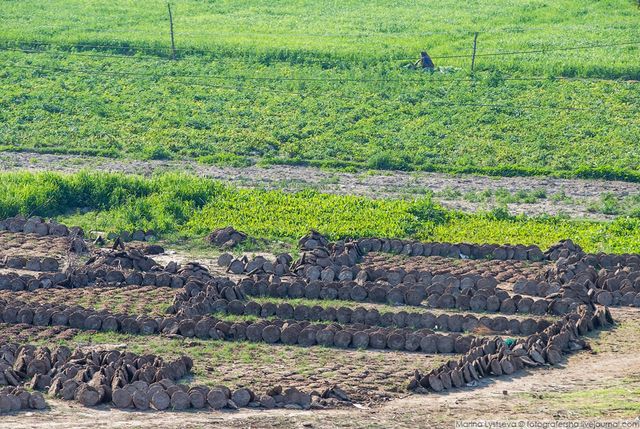 Індія з вікон автобусів: незвичайні фото - фото 155794