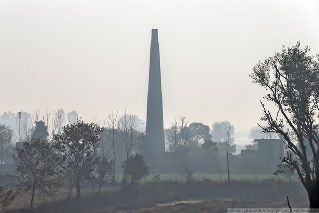 Індія з вікон автобусів: незвичайні фото - фото 155793