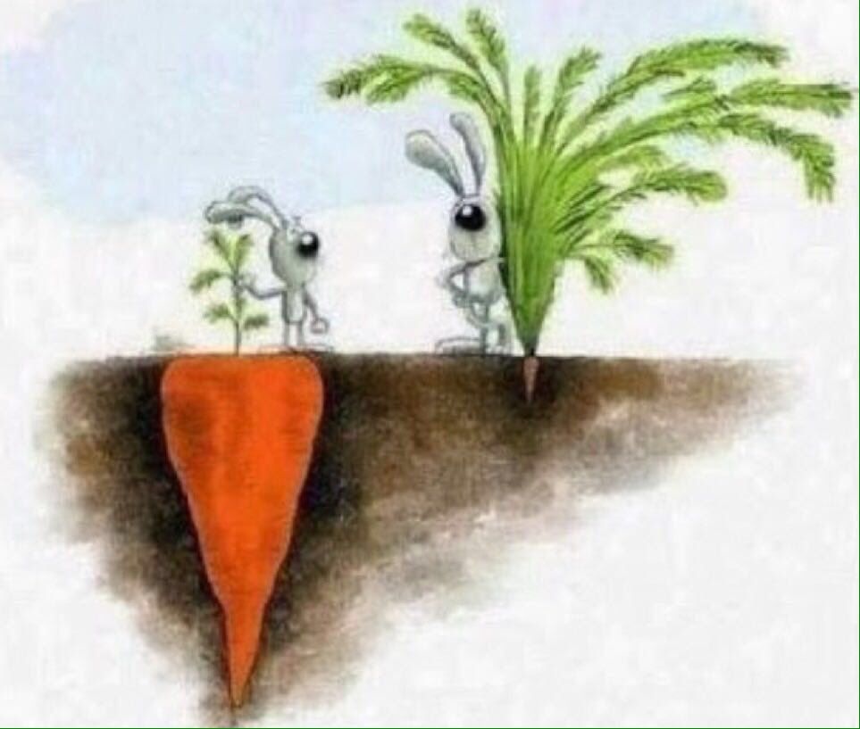 Чому #Мененевзяли – це флешмоб успіху: 5 історій