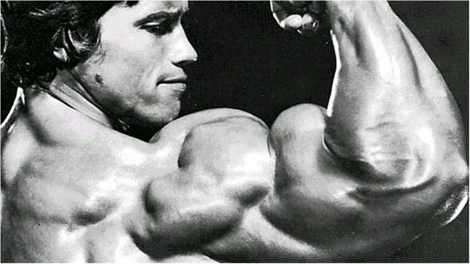 Не лінуйтеся! Методика накачки біцепсів Арнольда Шварценеггера