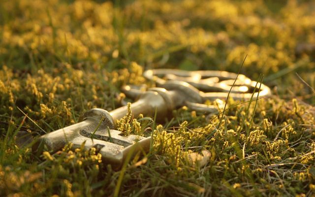 Речі, які категорично не можна піднімати з землі - фото 154204