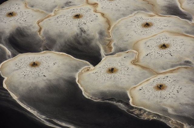 Фотографія як мистецтво: роботи фіналістів Smithsonian Photo Contest 2016 - фото 148061