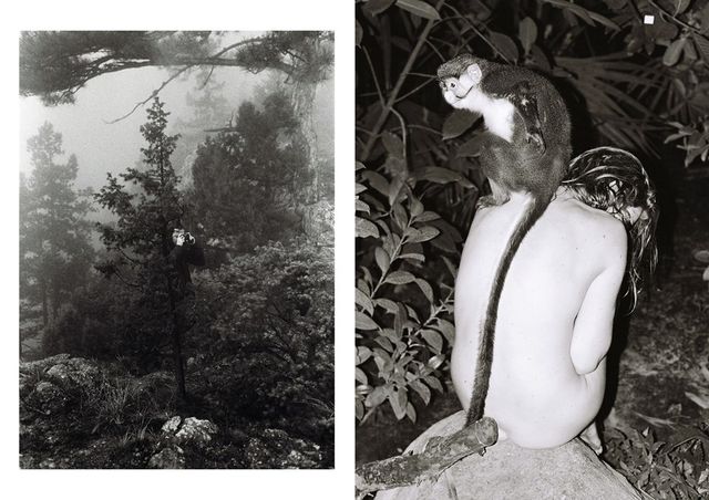 Модний британський журнал присвятив статтю українському фотографу - фото 148425