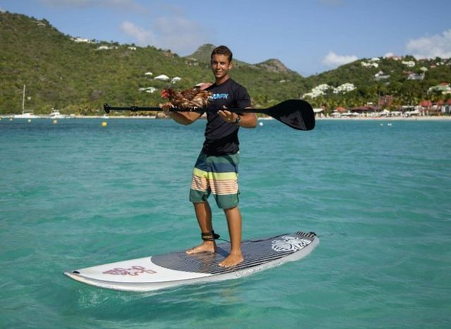 Молодий француз подорожує світом з... куркою - фото 154902