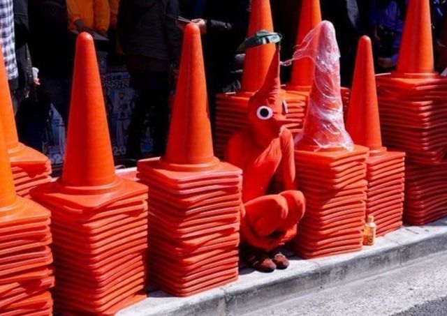 "Конуси все ще нічого не підозрюють..." - фото 149530