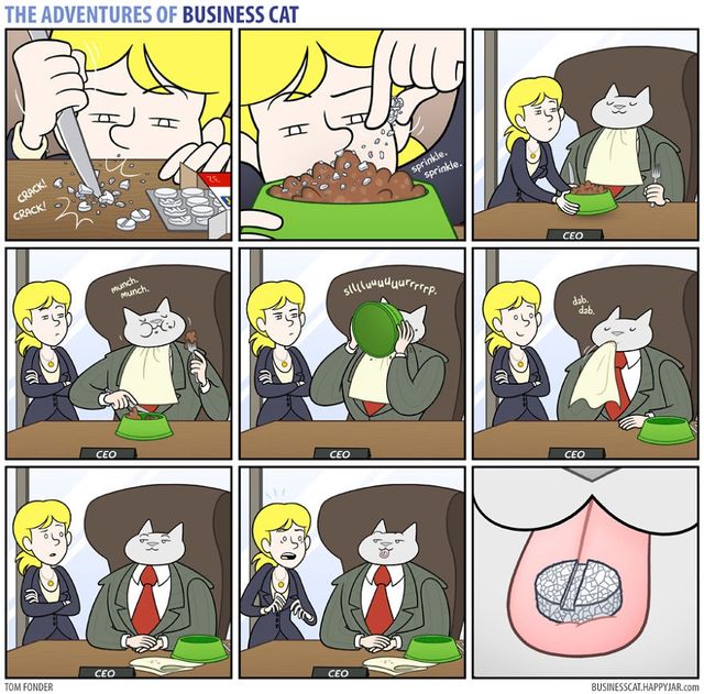 Як виглядала б робота, якби усім керували коти - фото 153188