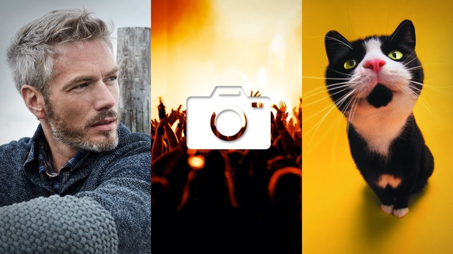 Котячі закони та концерти року: 16 березня в трьох фото