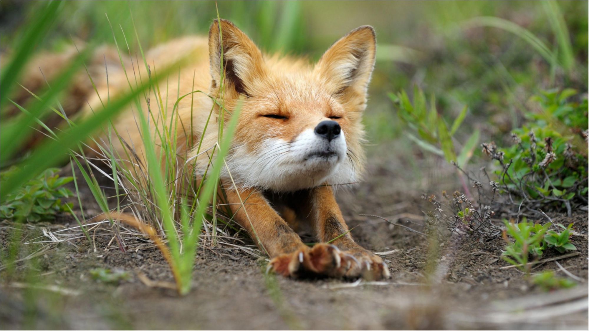 Природа - фото 1