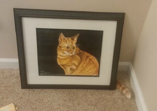 Пісня від Савченко і Роналду-мем: головні курйози тижня - фото 155934