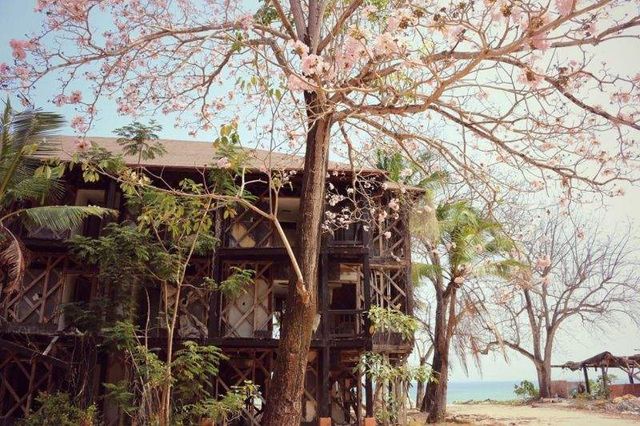 Як виглядає закинутий панамський курорт: вражаючі фото - фото 152613