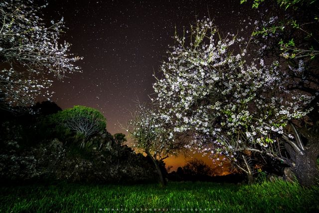 Ось як настає весна в різних куточках планети: дивовижні фото - фото 152952