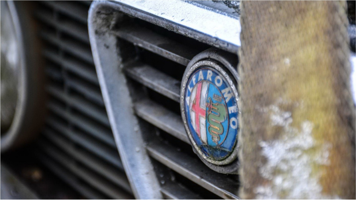 Alfa Romeo Giulia - фото 1