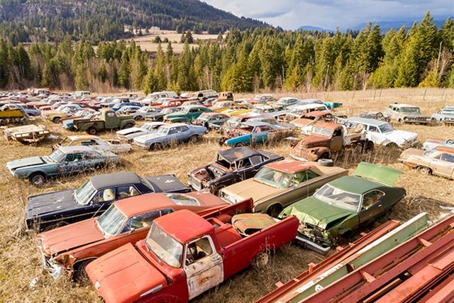 У Канаді продають два гектари старих автомобілів - фото 155961